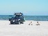 Solitude, Jeep Style